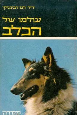 עטיפת הספר עולמו של הכלב מאת רם רבינסקי