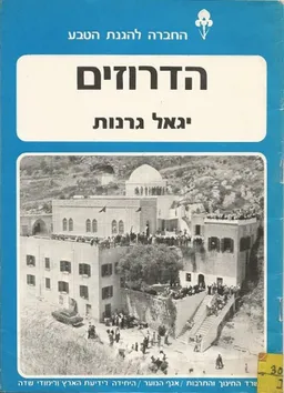 הדרוזים