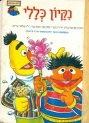 נקיון כללי
