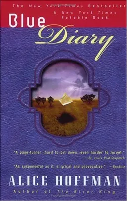 Blue diary
