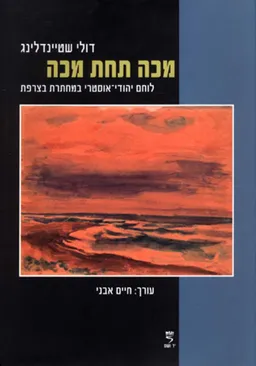 עטיפת הספר מכה תחת מכה מאת דולי שטינדלינג