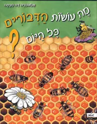 מה עושות הדבורים כל היום?