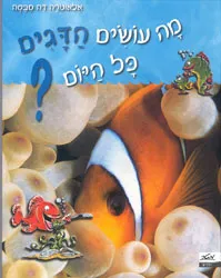 מה עושים הדגים כל היום?