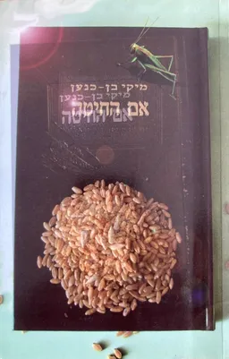 עטיפת אם החיטה