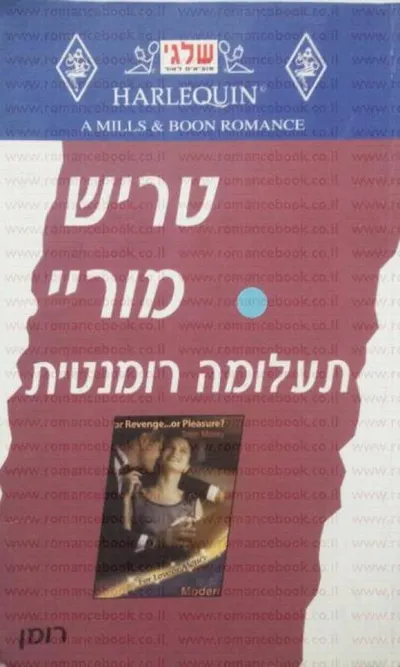 תעלומה רומנטית