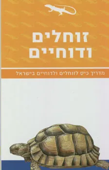זוחלים ודוחיים - מדריך כיס