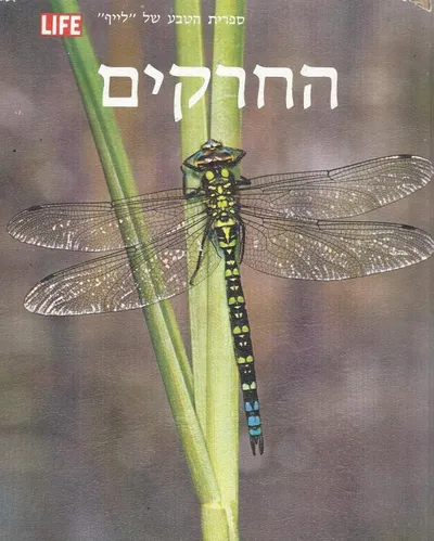 החרקים