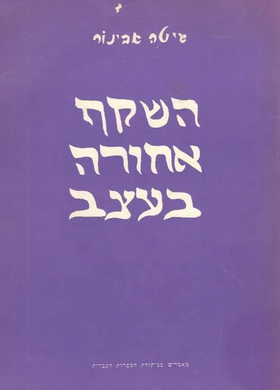 השקף אחורה בעצב : מאמרים בבקורת הספרות העברית