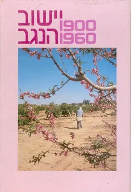 עטיפת הספר עידן 6 - יישוב הנגב 1900-1960 מאת מרדכי נאור