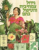גידול צמחי בית והטיפול בהם
