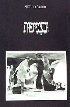 עטיפת הספר ובצפיפות מאת חמוטל בר-יוסף