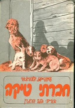עטיפת הספר חברתי טיקה מאת דורית אורגד