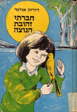 עטיפת הספר חברתי זהובת הנוצה מאת דורית אורגד
