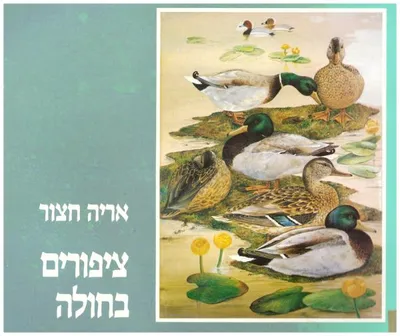 ציפורים בחולה
