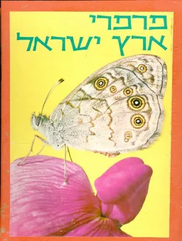 פרפרי ארץ ישראל