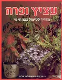 עציץ ופרח