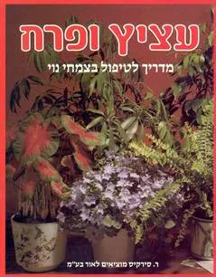 עציץ ופרח