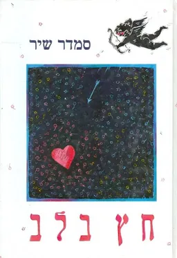 עטיפת הספר חץ בלב מאת סמדר שיר