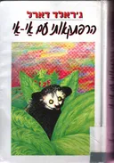 הרפתקאותי עם אי-אי