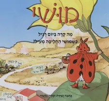 מושי