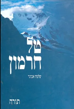 טל חרמון