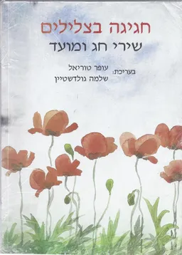 עטיפת הספר חגיגה בצלילים מאת שלמה גולדשטיין