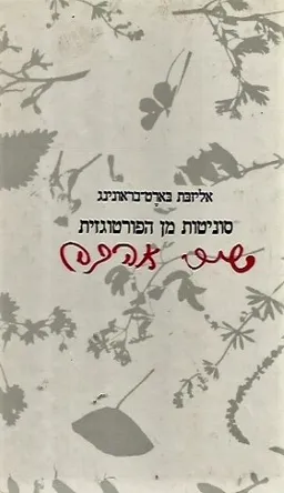 סוניטות מן הפורטוגזית