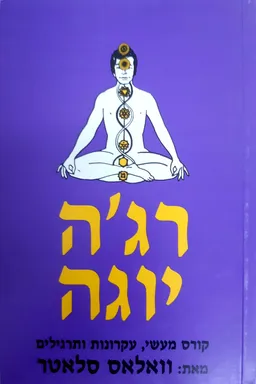 ראג'ה יוגה
