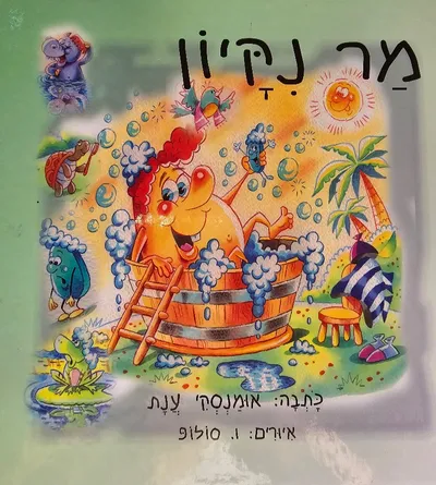 מר נקיון