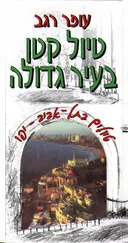 טיול קטן בעיר גדולה