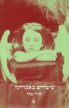 ציפורים באמריקה