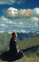 שיעורים בזן