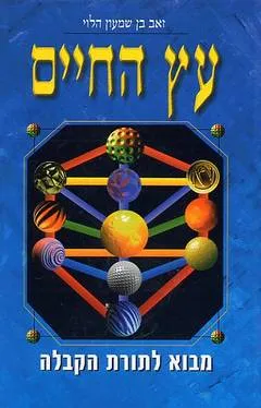 עץ החיים