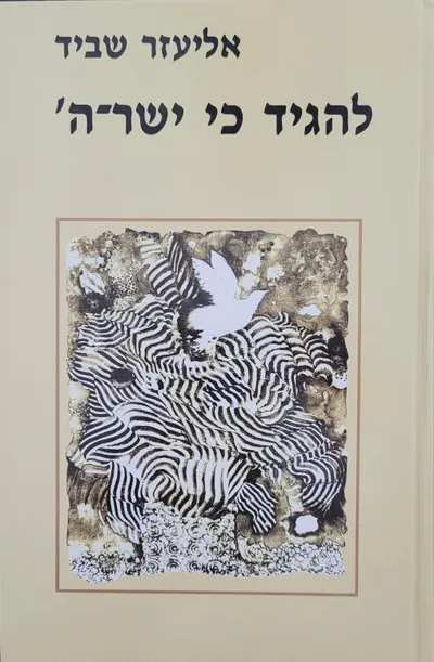 להגיד כי ישר-ה' : הצדקת אלוהים במחשבת ישראל מתקופת המקרא ועד שפינוזה