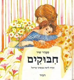 עטיפת הספר חיבוקים מאת סמדר שיר