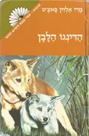 הדינגו הלבן