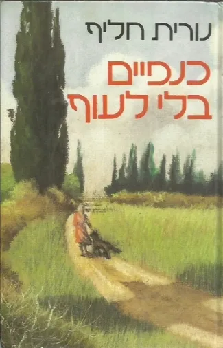 כנפיים בלי לעוף : רומן