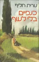 כנפיים בלי לעוף
