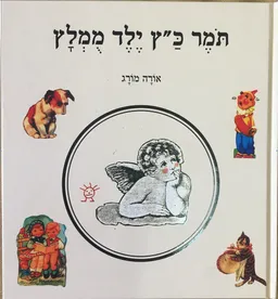 עטיפת תומר כץ ילד מומלץ