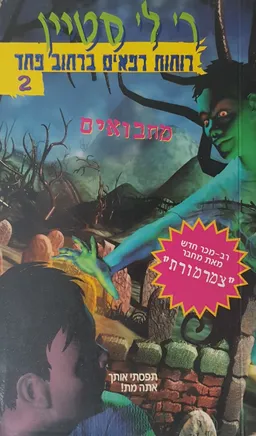 עטיפת הספר מחבואים מאת ר. ל. סטיין