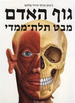 גוף האדם : מבט תלת-ממדי
