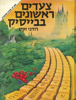 צעדים ראשונים בבייסיק