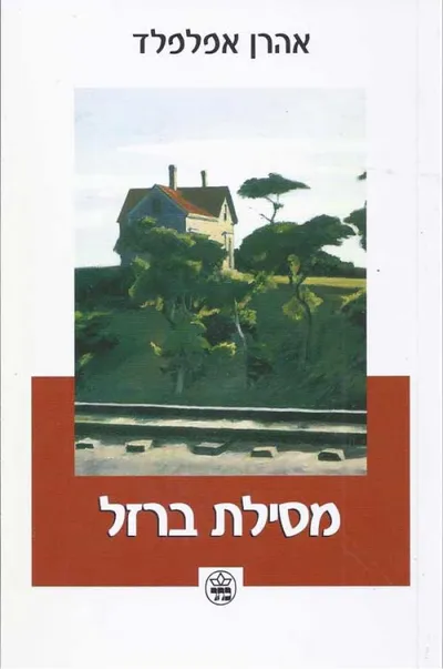 מסילת ברזל