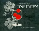 צילום יוצר
