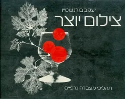 עטיפת הספר צילום יוצר מאת יעקב בורנשטין