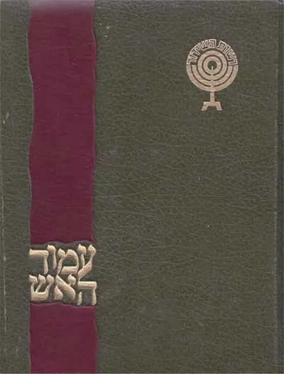 עמוד האש : פרקים בתולדות הציונות