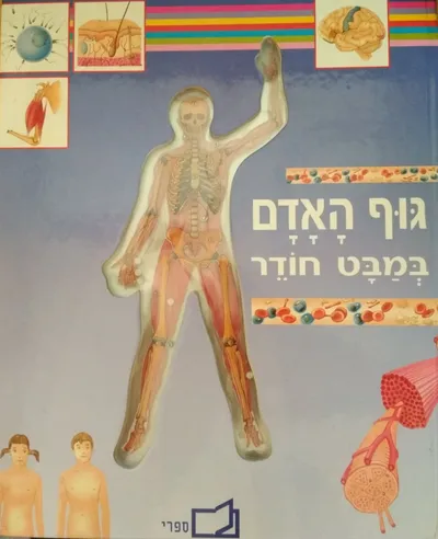 גוף האדם במבט חודר