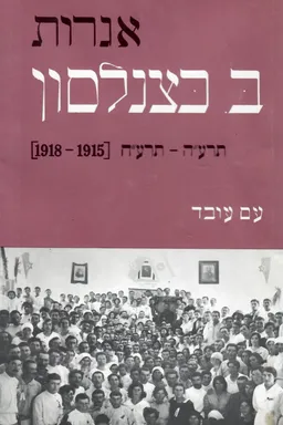 אגרות ברל כצנלסון (ב)
