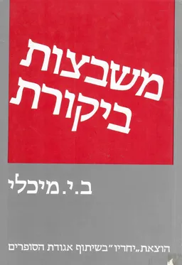 משבצות ביקורת