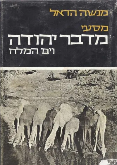 מסעי מדבר יהודה וים המלח